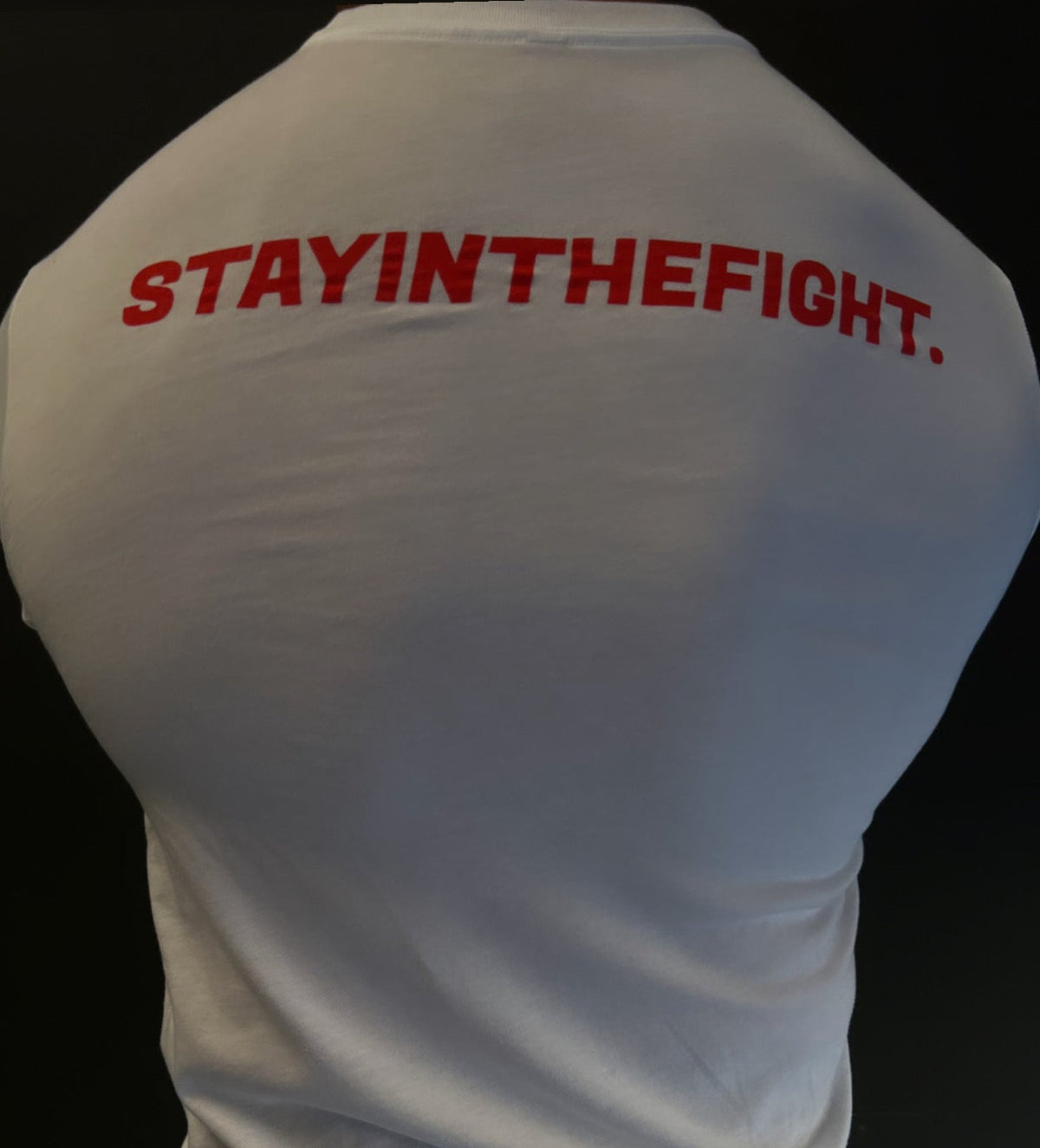 MEN&#39;S RPG &quot;STAY IN THE FIGHT&quot; WHITE GRAPHIC TEE